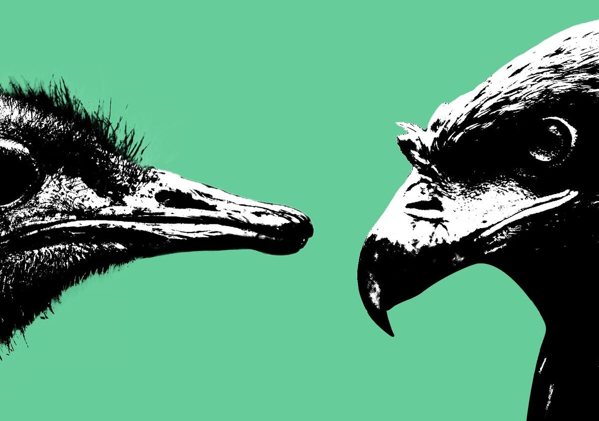Will You Be an Ostrich or an Eagle in 2024?