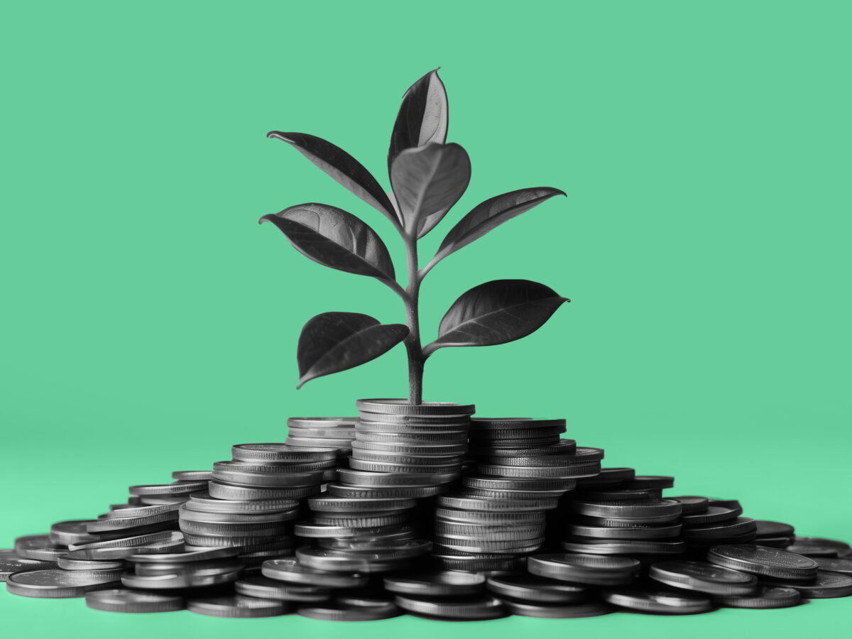 White Paper: Measuring Return on Marketing Investment for Community Banks