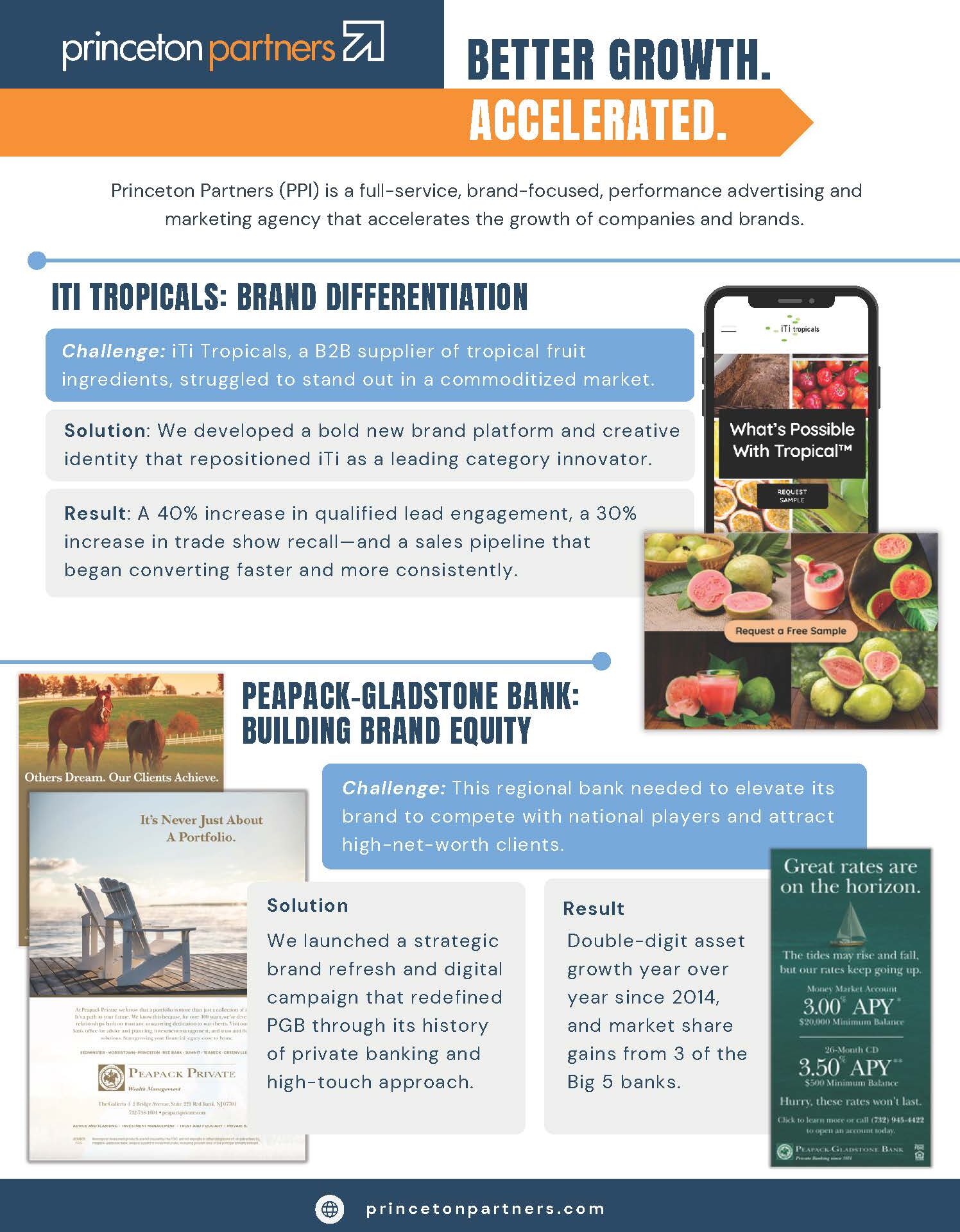 PPI_MarketingChallengesPDF_Page_1